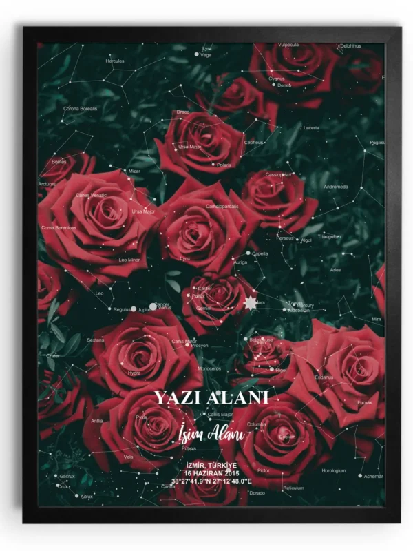 Barbie Pink - Baby Blue