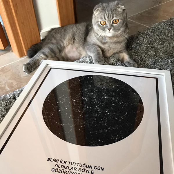 Kişiye Özel Gökyüzü Haritası veya Kişiye Özel Yıldız Haritası Tablosu Fotoğrafı
